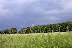 Gewitter-zieht-auf-3.jpg